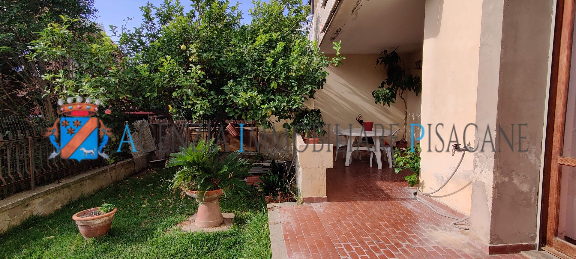 Portico e giardino posteriore con albero di limoni - Agenzia Immobiliare & Architettura Pisacane