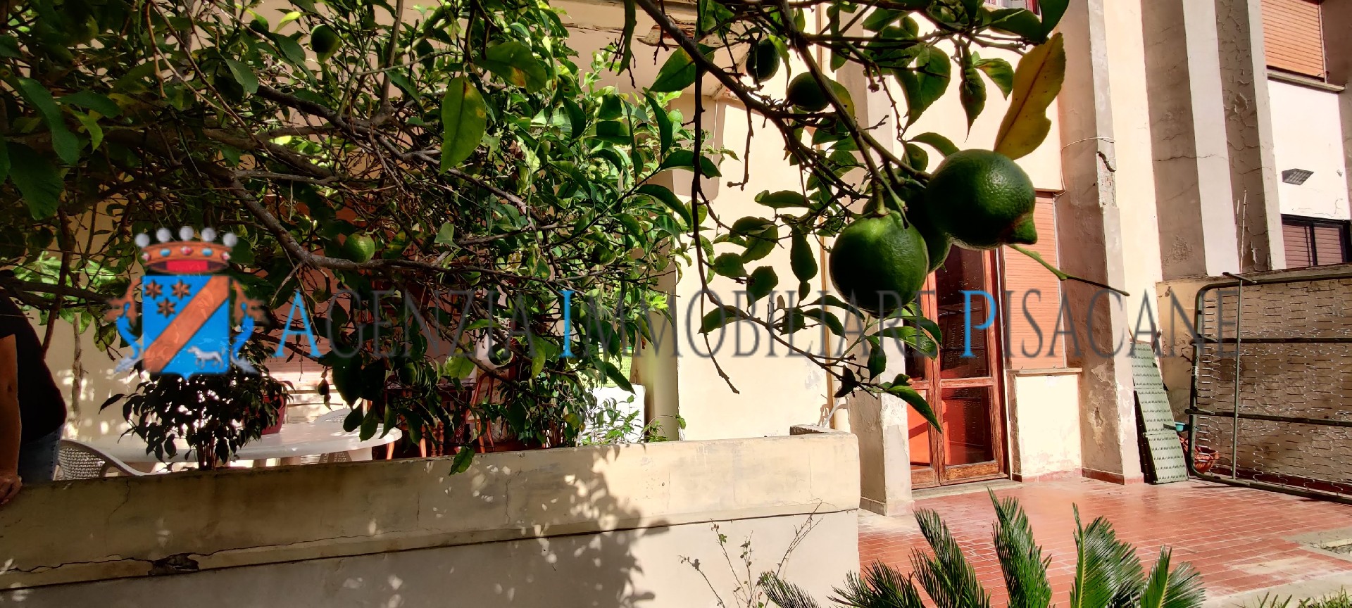 Portico e giardino posteriore con albero di limoni - Agenzia Immobiliare & Architettura Pisacane